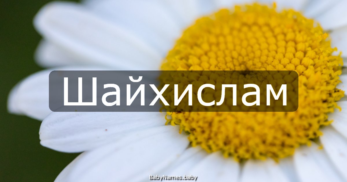 Шайхислам