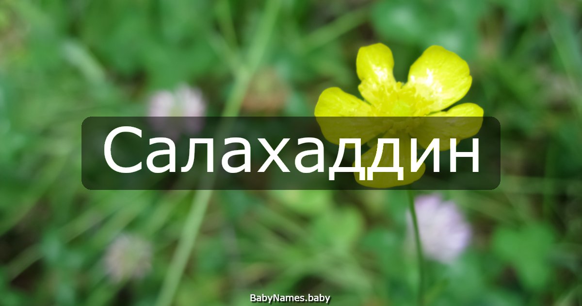 Салахаддин