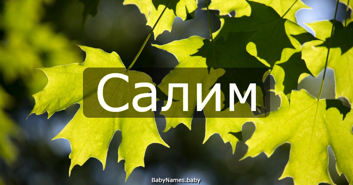 Салим