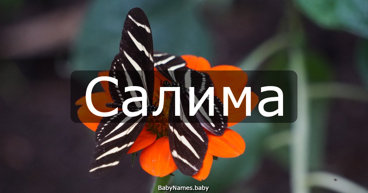 Салима