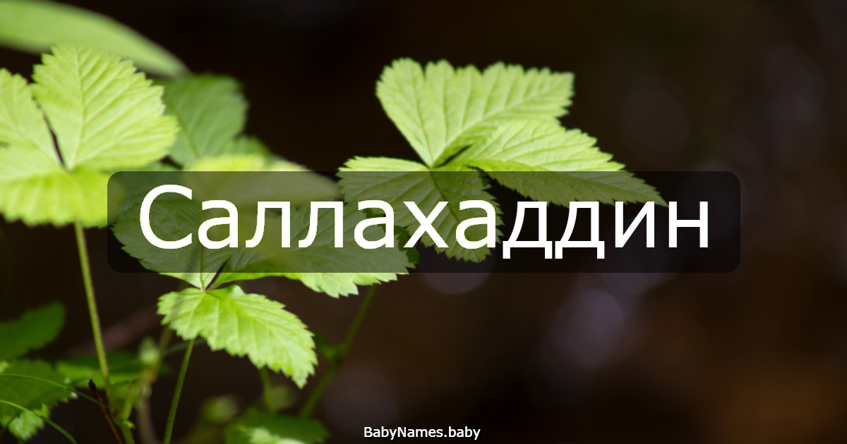 Саллахаддин