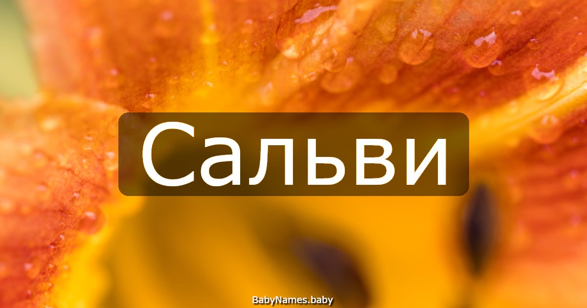 Сальви