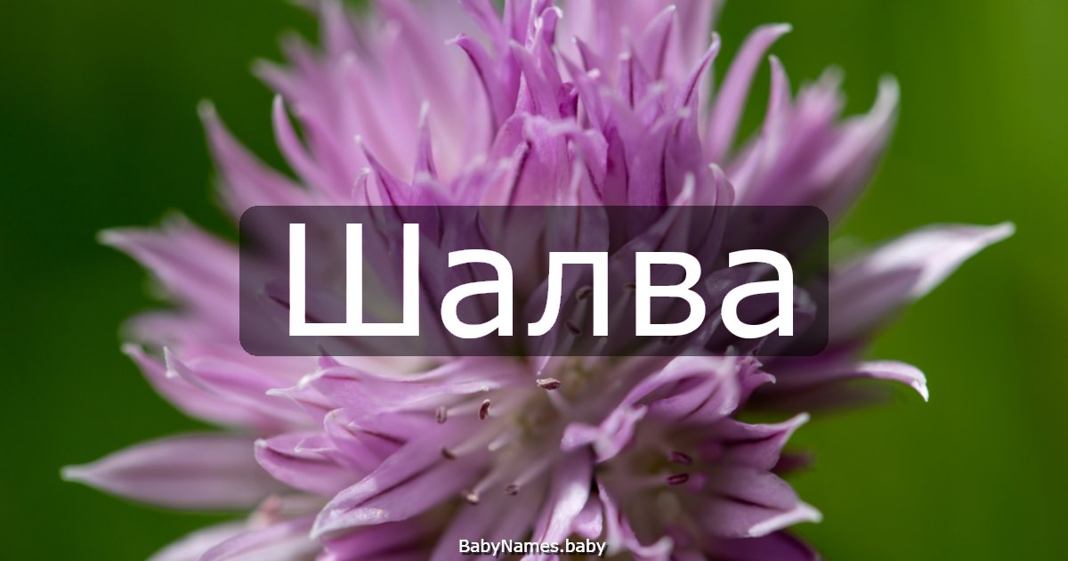Шалва