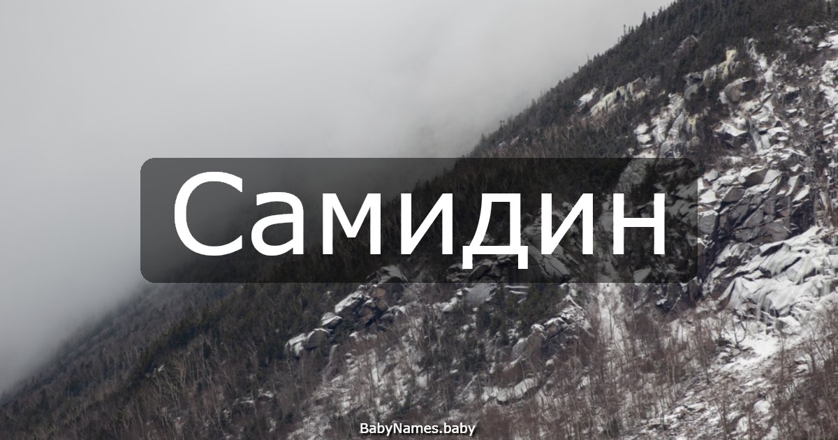 Самидин