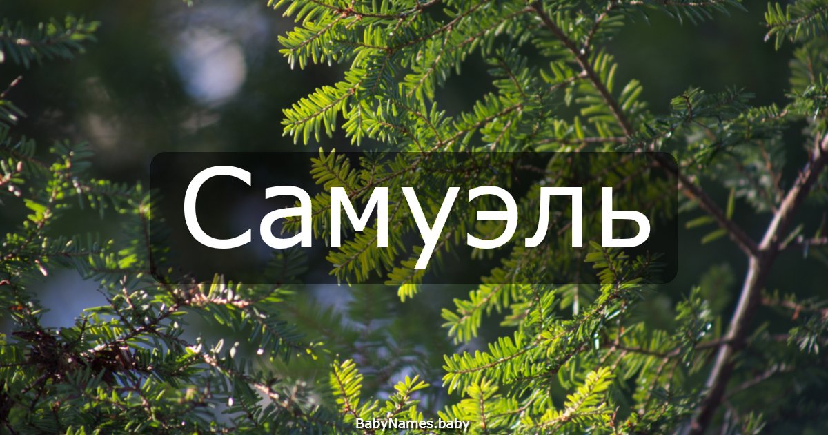 Самуэль