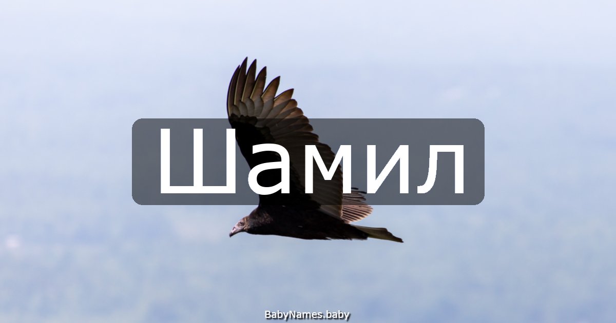 Шамил