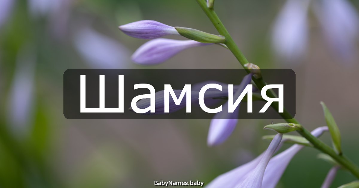 Шамсия
