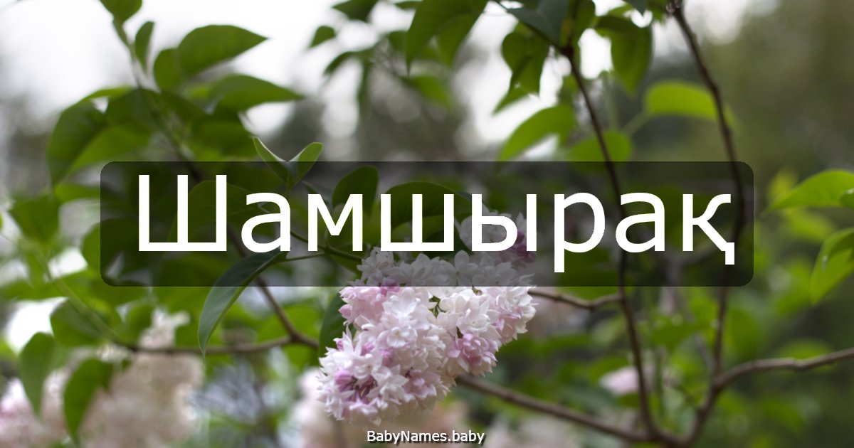 Шамшырақ