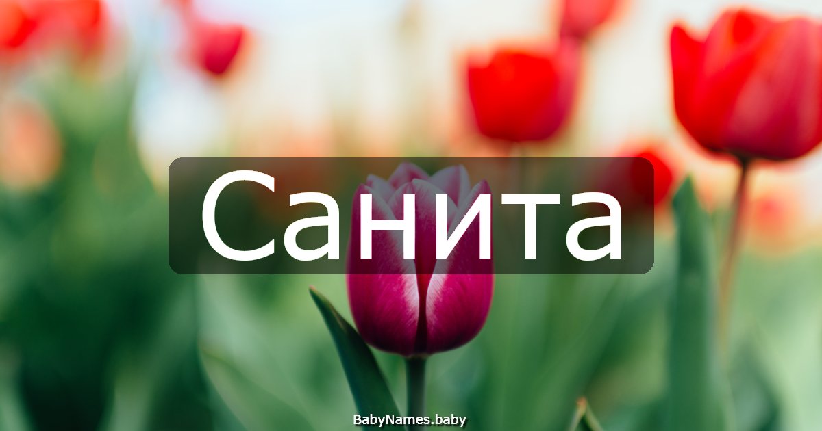Санита