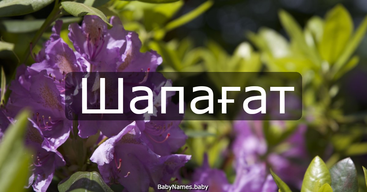 Шапағат