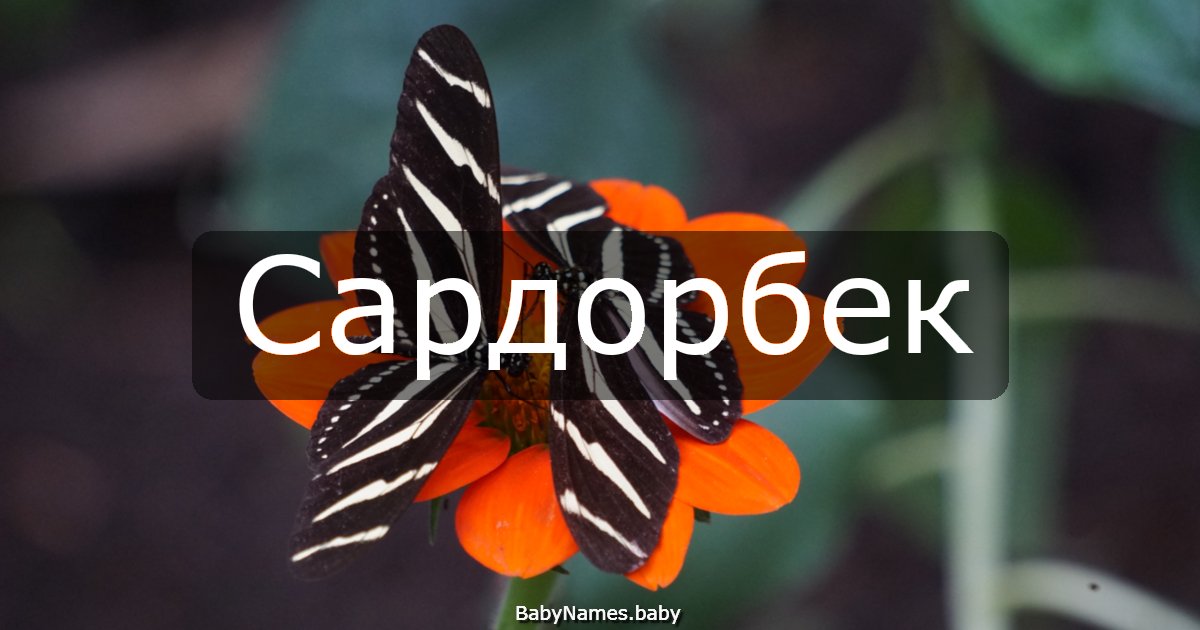 Сардорбек