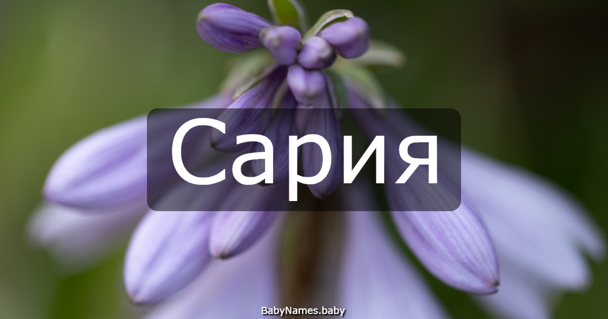 Сария