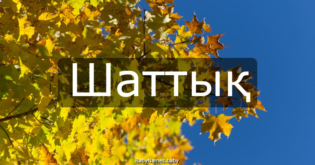 Шаттық