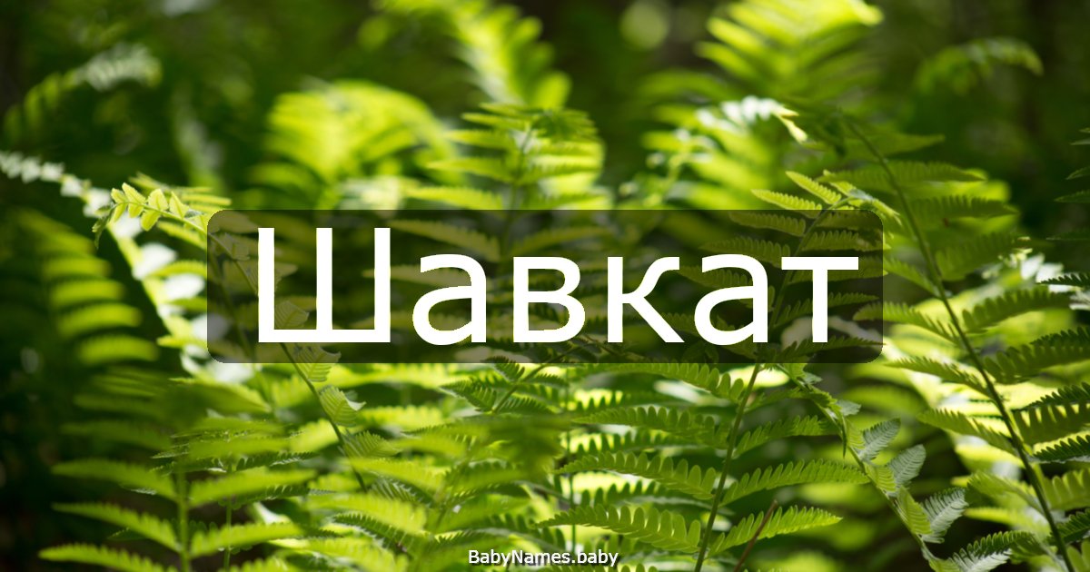 Шавкат