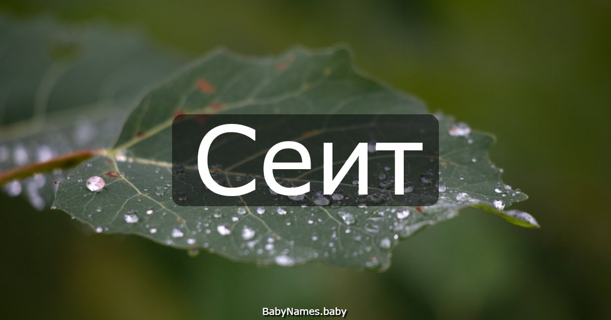 Сеит