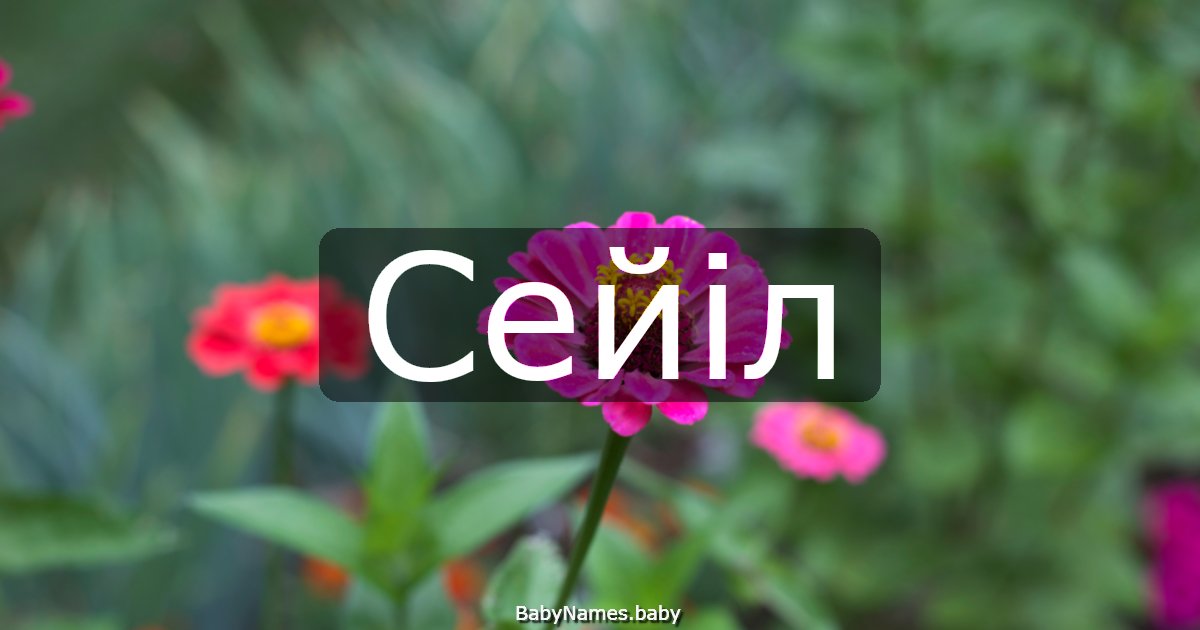 Сейіл