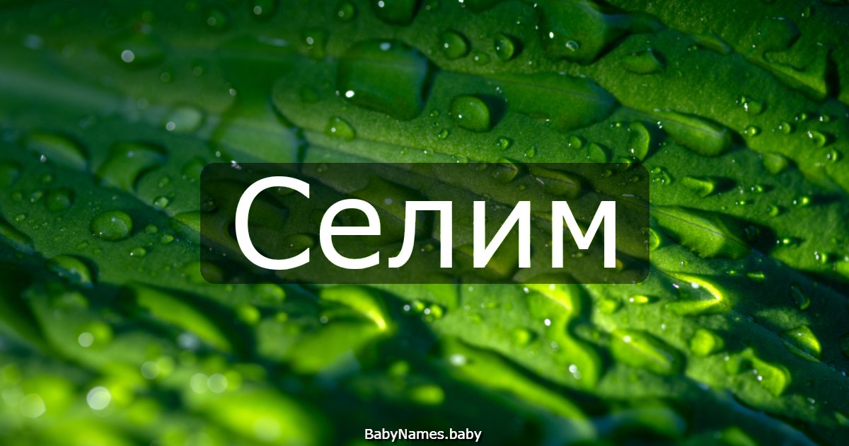 Селим