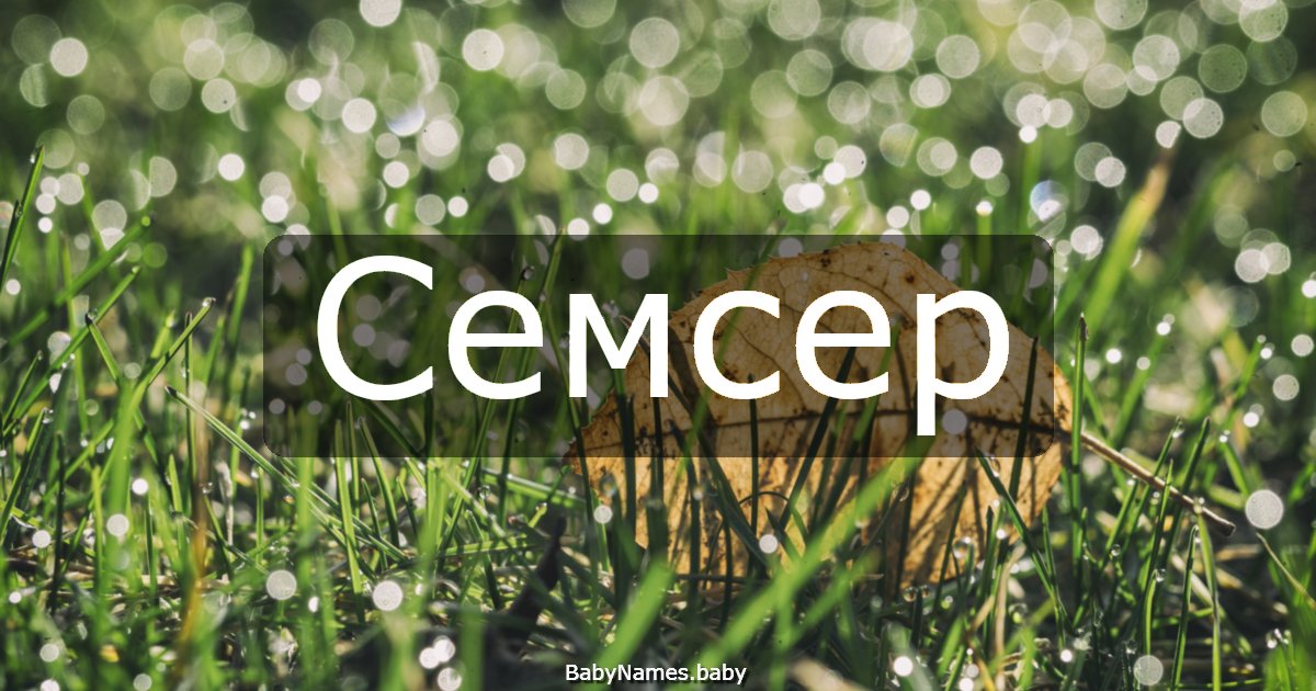 Семсер