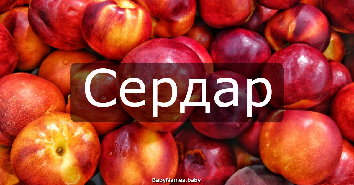 Сердар