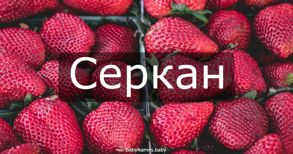 Серкан