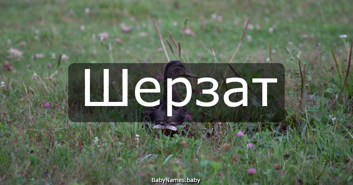 Шерзат