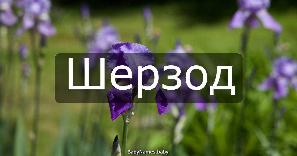 Шерзод