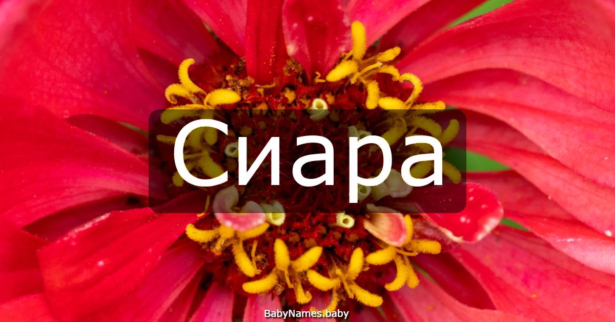 Сиара