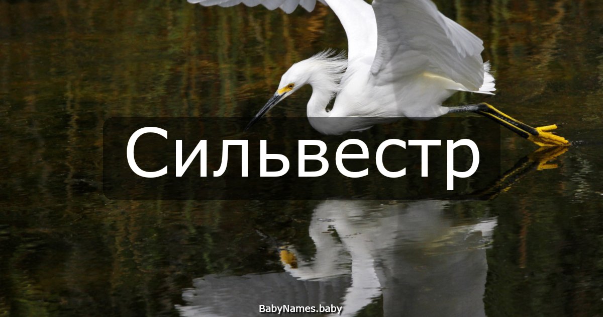 Сильвестр