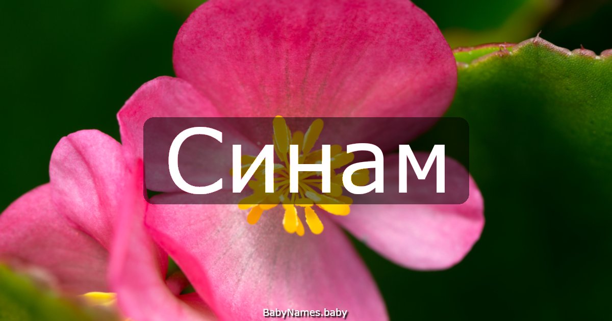 Синам