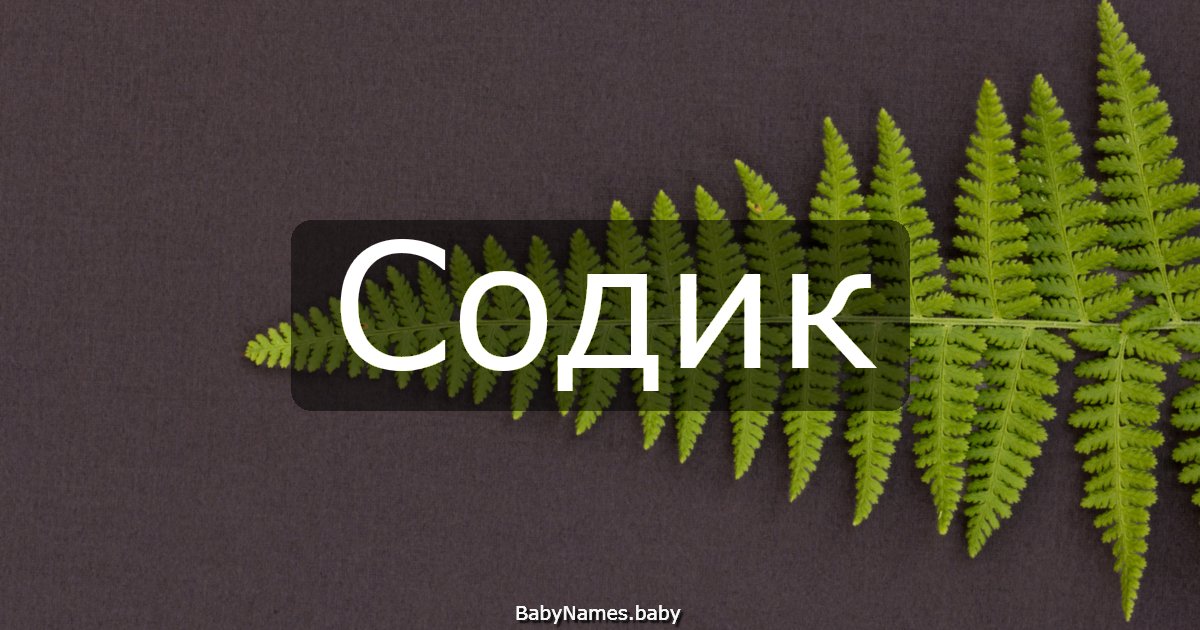 Содик