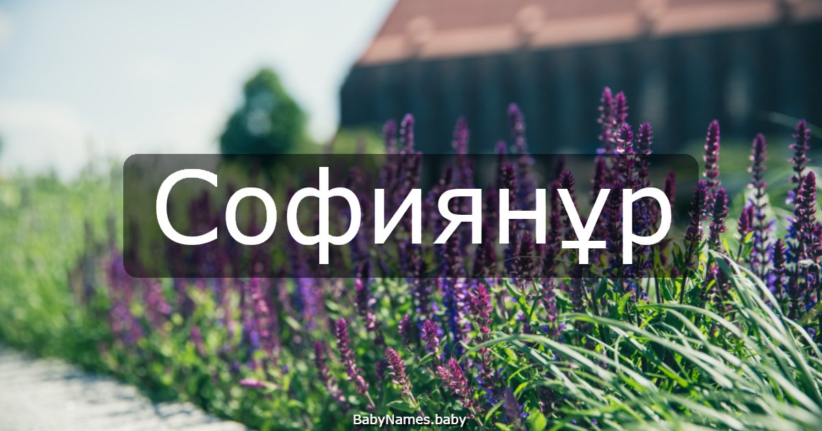 Софиянұр