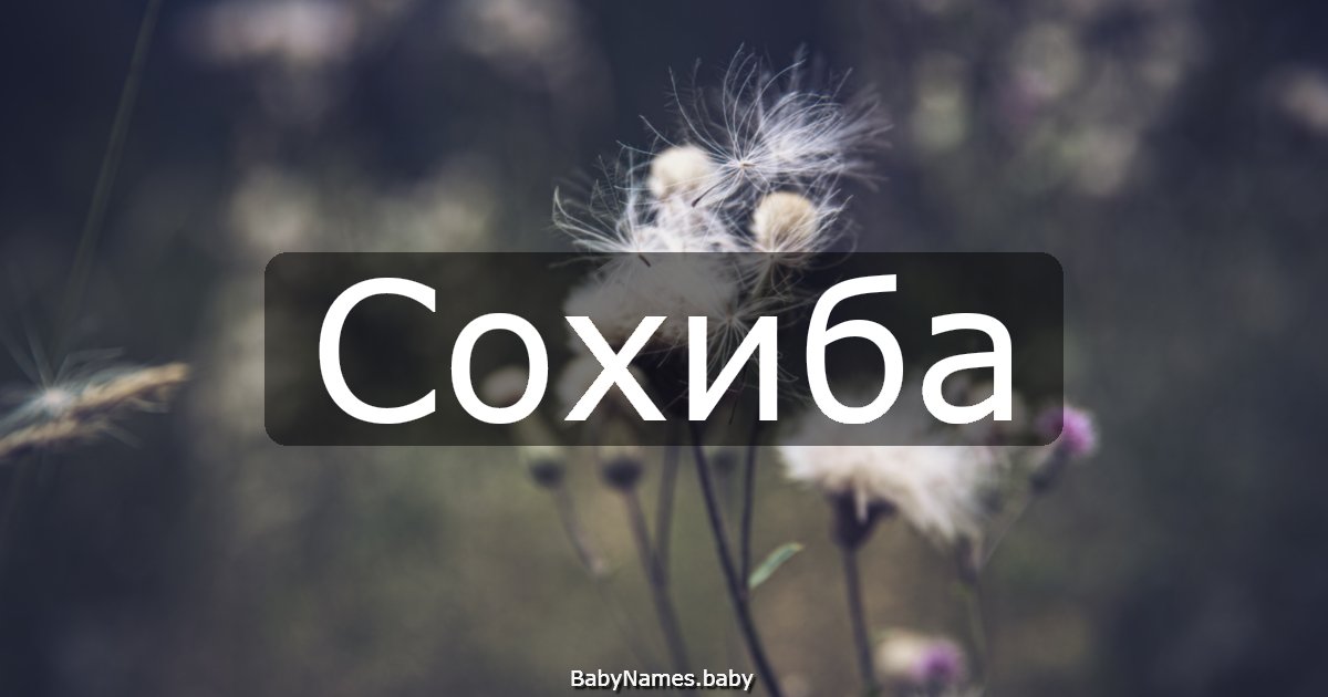 Сохиба