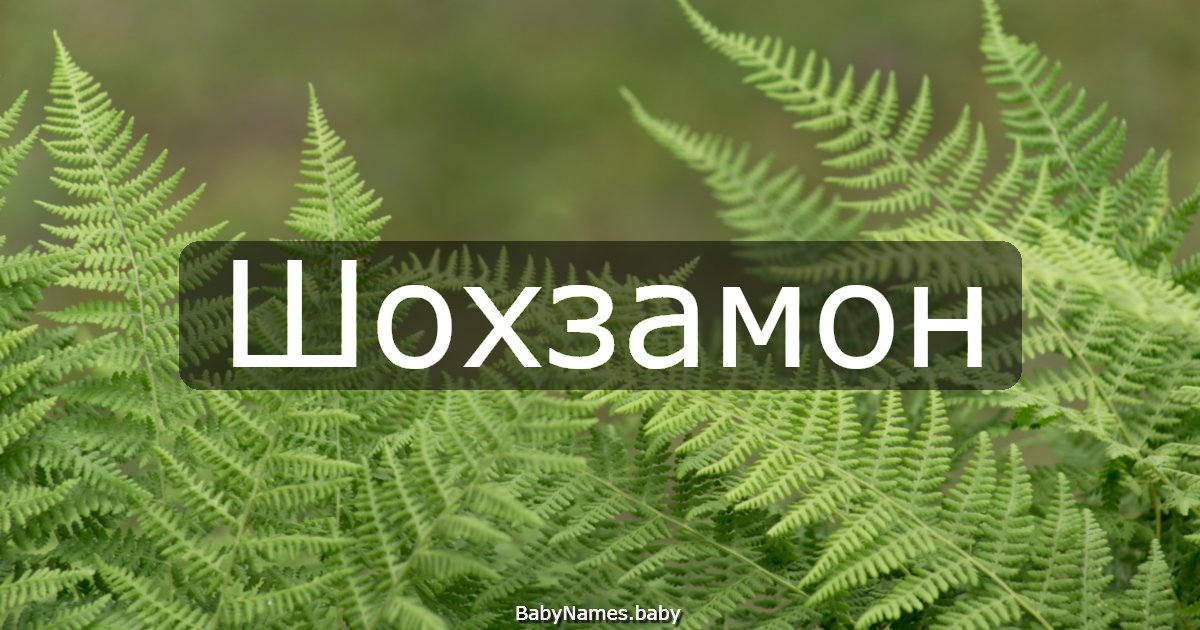 Шохзамон