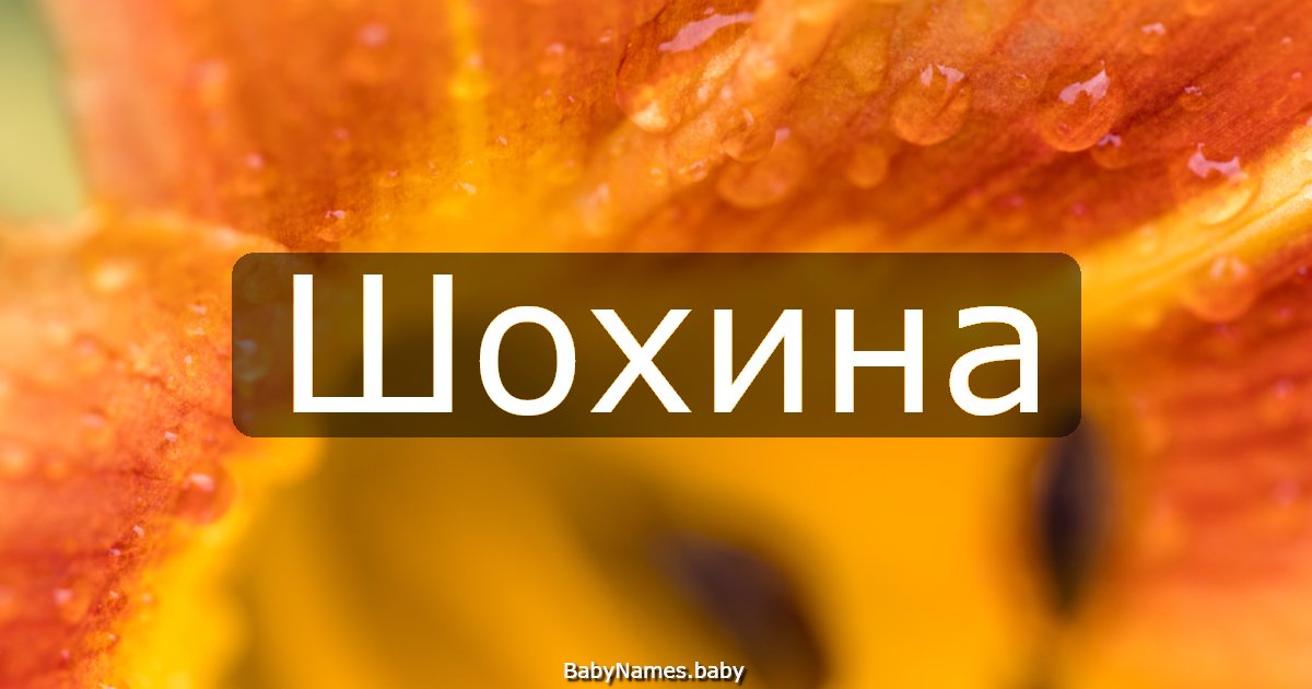 Шохина