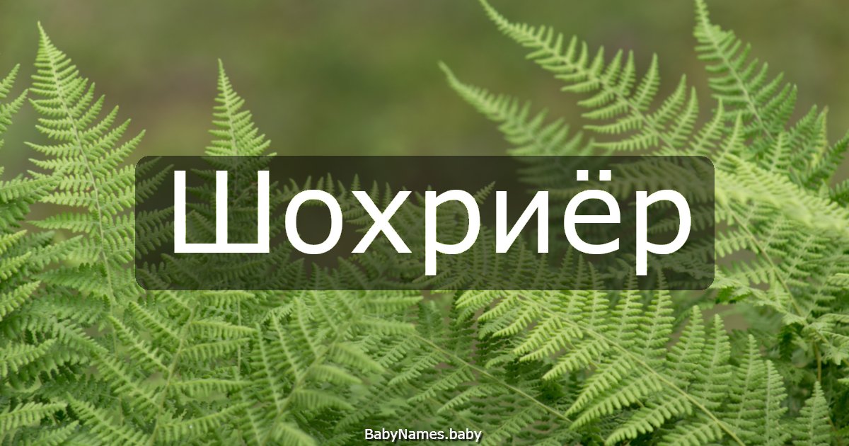 Шохриёр