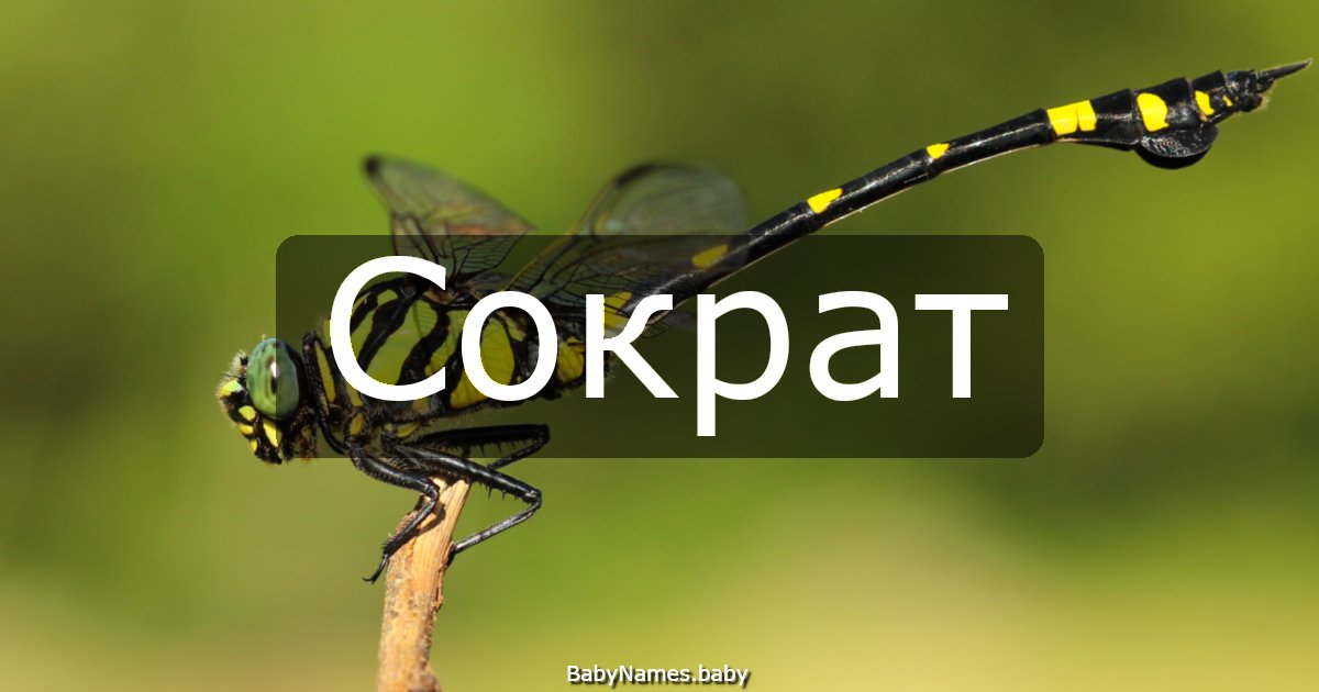 Сократ