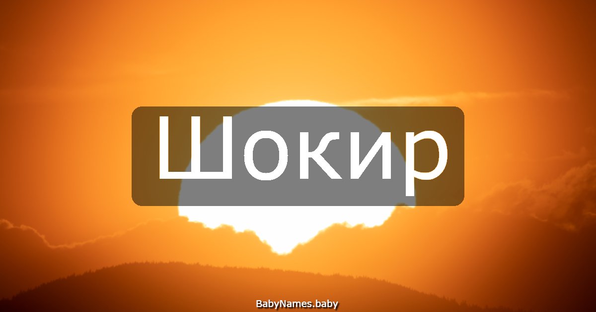 Шокир