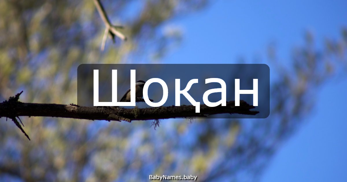 Шоқан