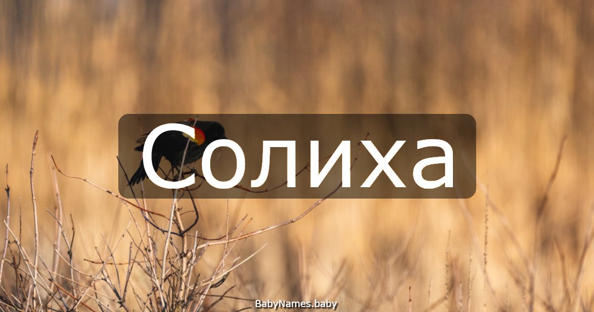 Солиха