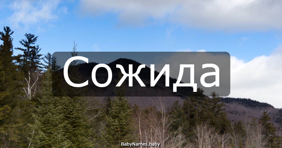 Сожида