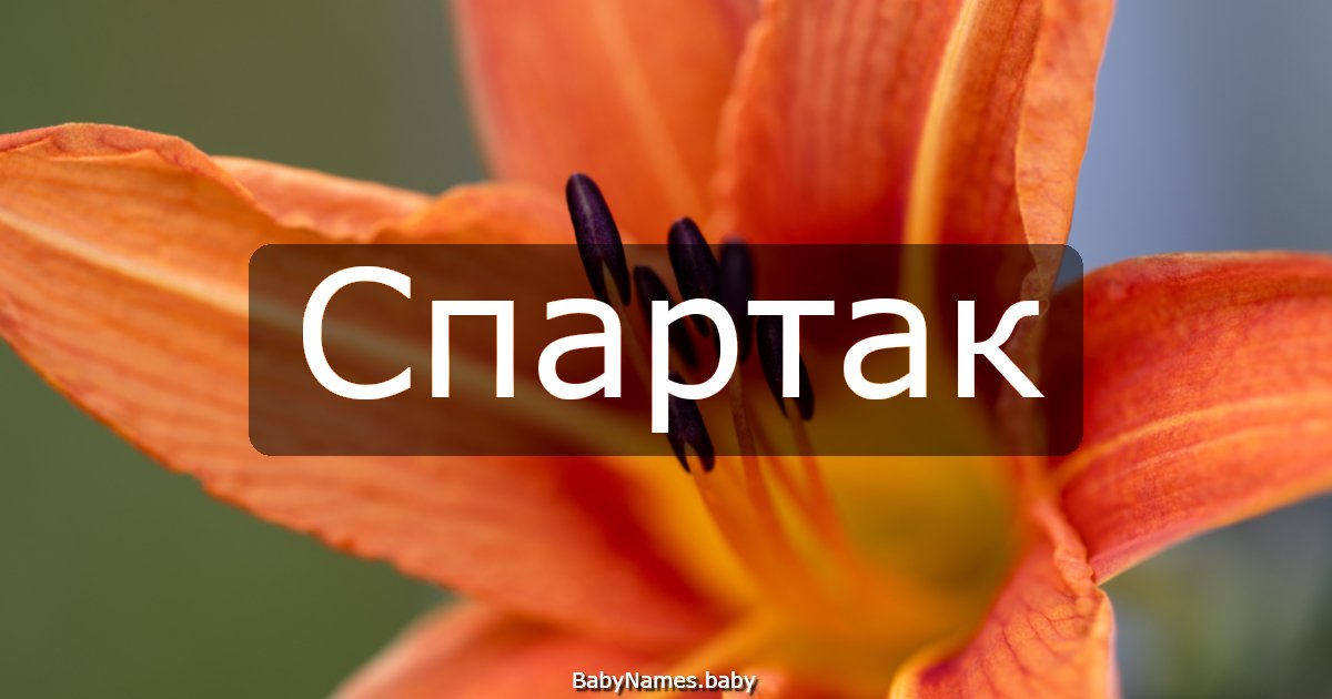 Спартак
