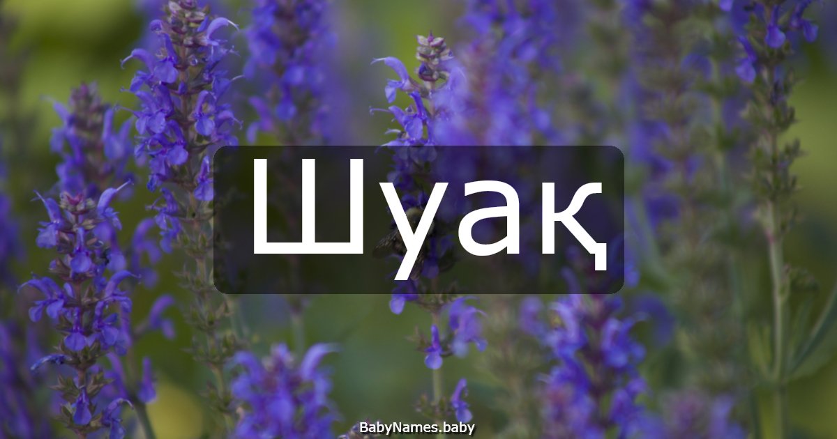 Шуақ