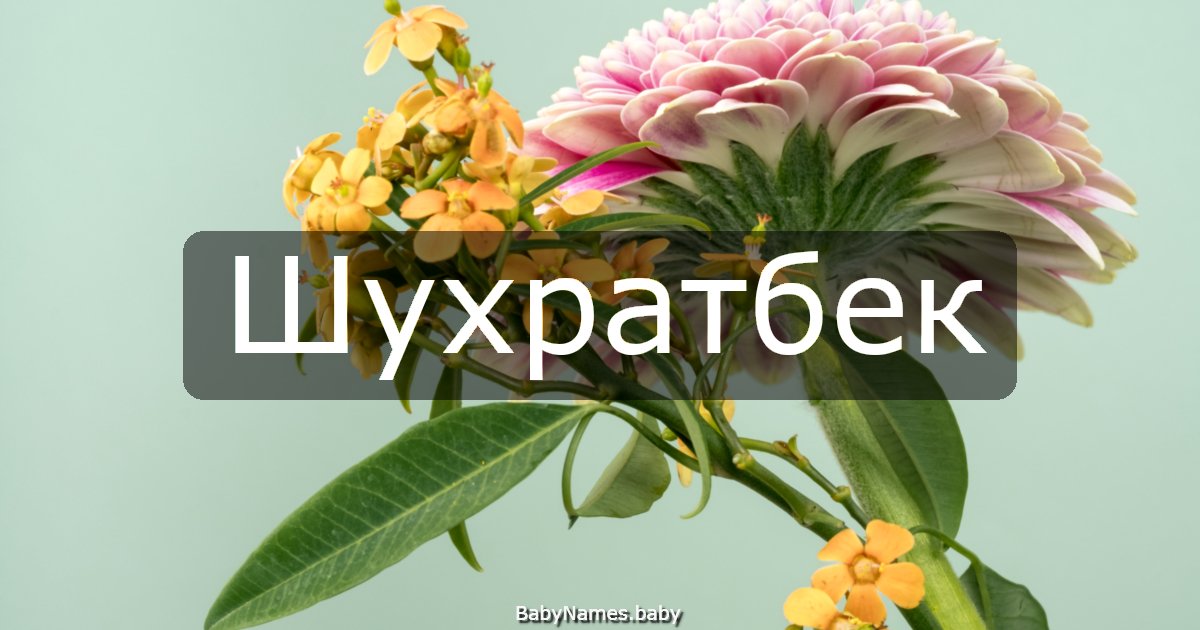 Шухратбек