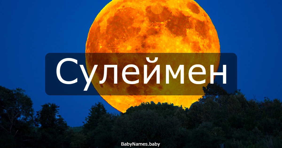 Сулеймен