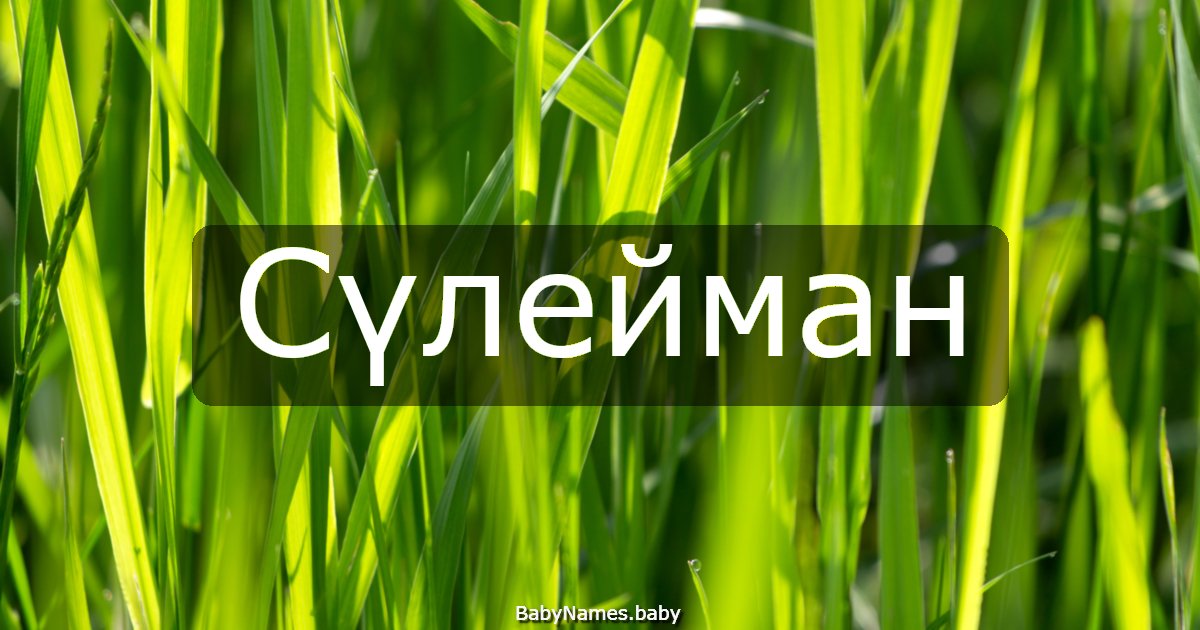 Сүлейман