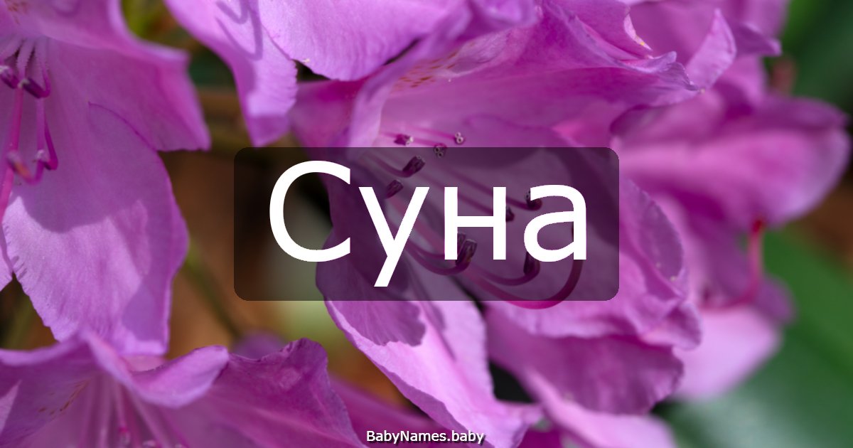 Суна
