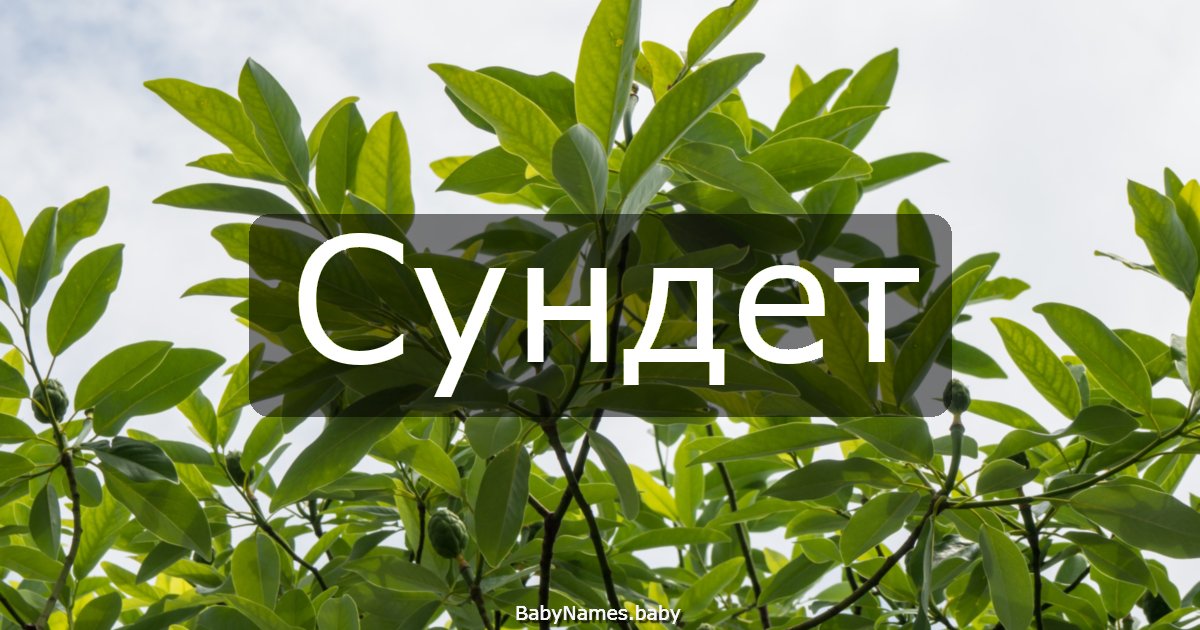 Сундет