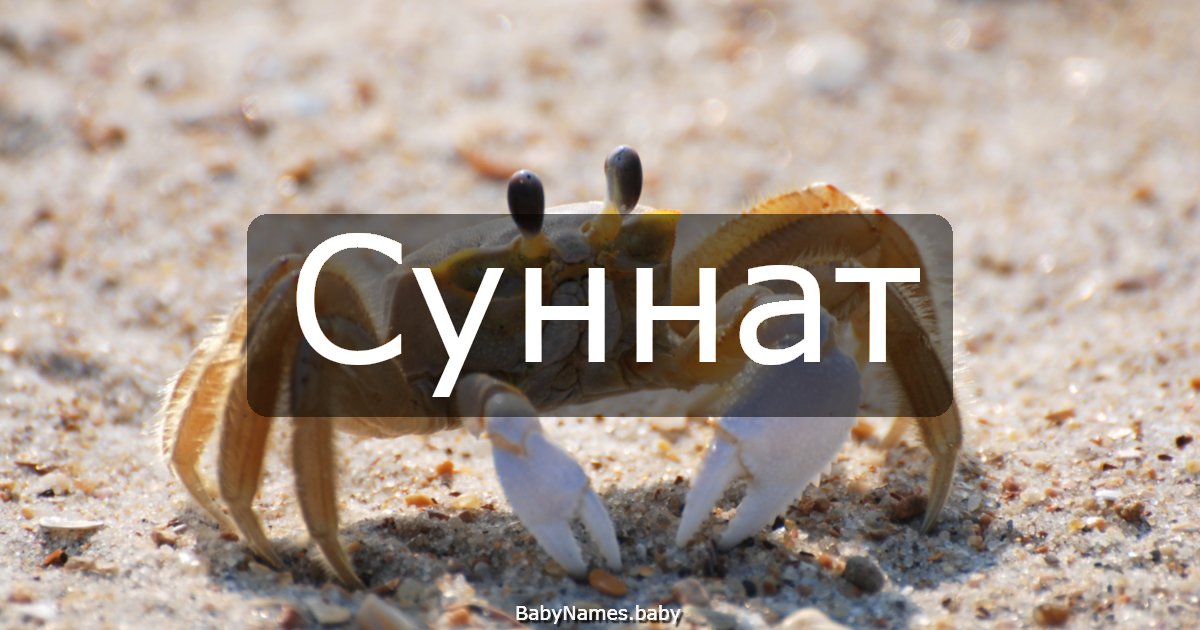 Суннат