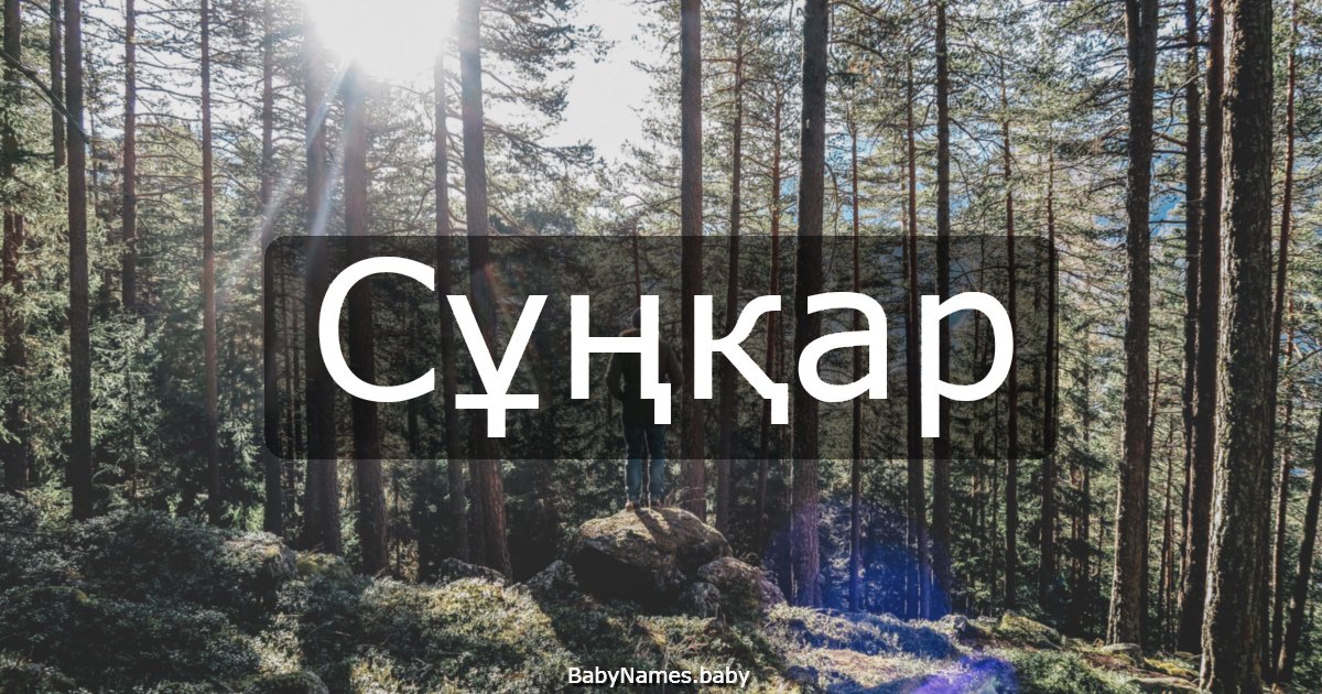 Сұңқар