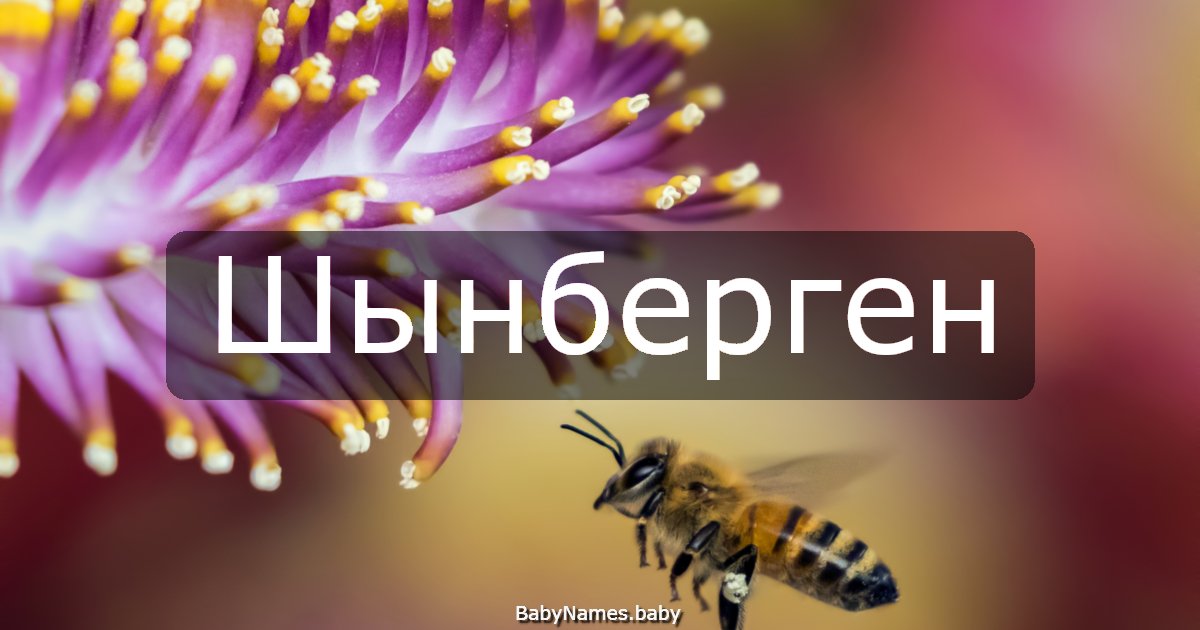 Шынберген